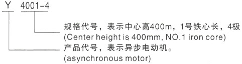 西安泰富西玛Y系列(H355-1000)高压YJTFKK4501-4三相异步电机型号说明